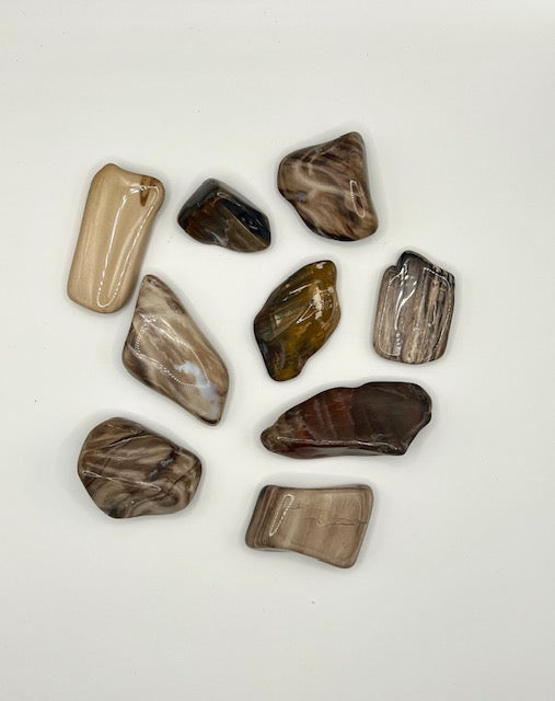 Versteinertes Holz - Stein der Erdung & inneren Beständigkeit