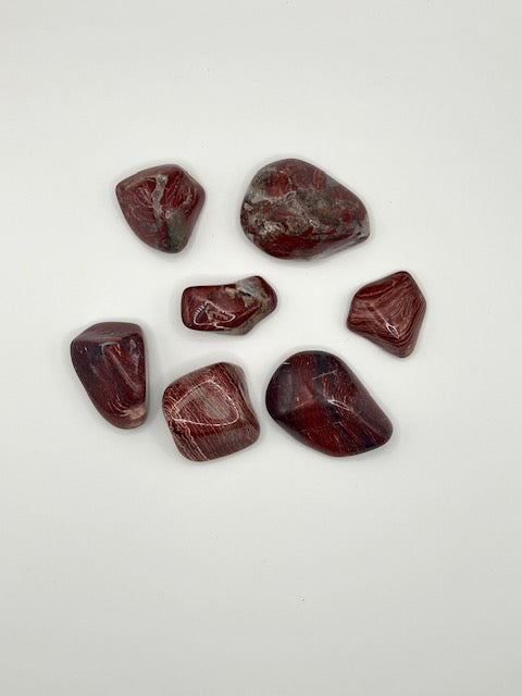 Schlangenhaut Jaspis -Stein der Transformation & Erdung