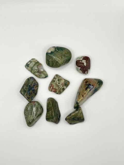 Regenwaldstein (Meta-Rhyolith) aus Australien - Stein der Erneuerung & inneren Balance